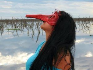 Consideraciones sobre la artista formoseña Lagloria